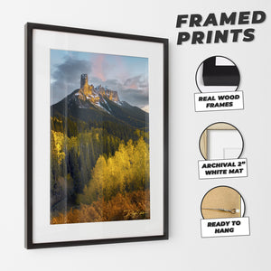 Triumphant Nights - Vertical