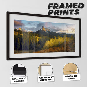 Triumphant Nights - Modern Format