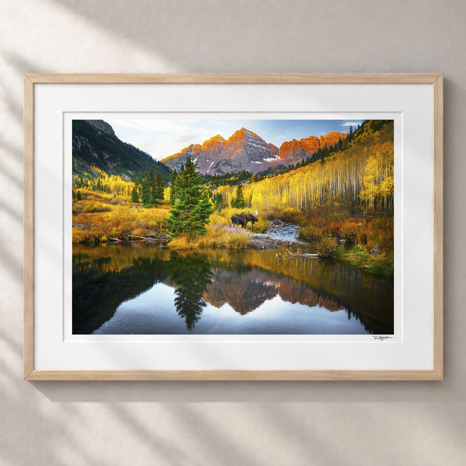 Echoes of Autumn - First Time Collector Sunlit Maple Frame