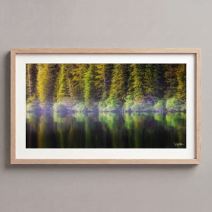 Coastal Pines