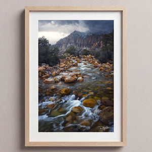 Disappearing Creek