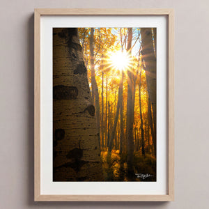 Golden Burst