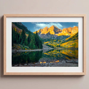 Postcard Nordic Oak