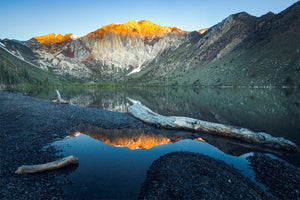Still Reflections