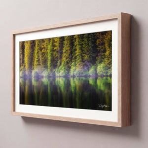 Coastal Pines