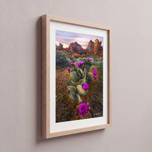 Desert Blumes