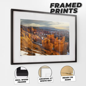 Morning Light At Bryce