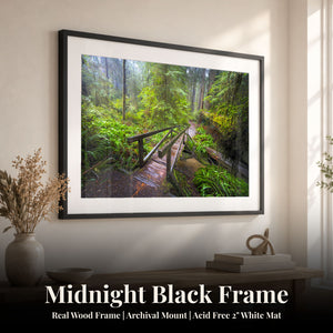 Enchanted Passage Midnight Black