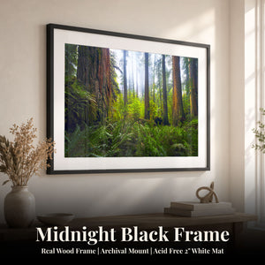 Ancient Giants Midnight Black