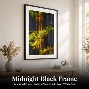 Crown of Light Midnight Black