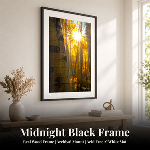 Golden Burst Midnight Black
