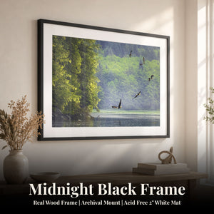 King of The Sky Midnight Black