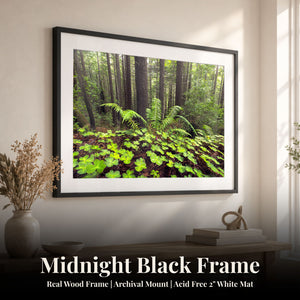 Looking For Luck Midnight Black