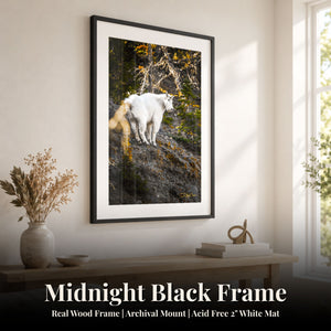 Mountain Climber Midnight Black