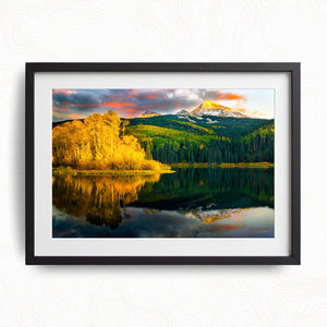 Seasons Reflected