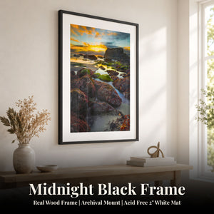 Starfish Sunsets Midnight Black