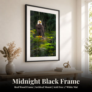 Stoic Midnight Black