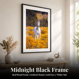 The Meaning of Haste Midnight Black