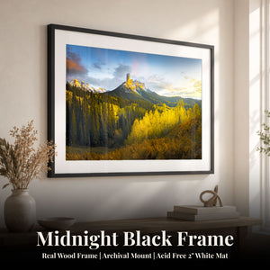 Triumphant Nights Midnight Black
