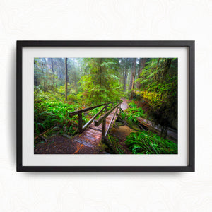 Enchanted Passage