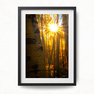 Golden Burst