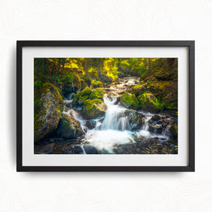 Hidden Cascades