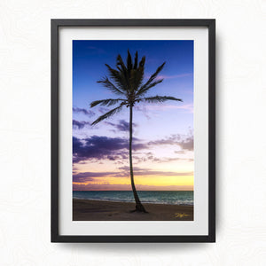 Lone Palm