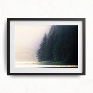 Mist and Shadow
