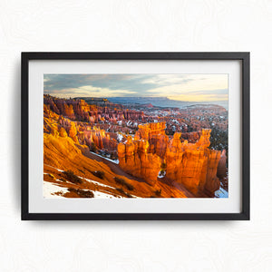 Morning Light At Bryce