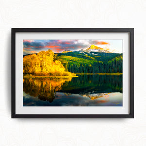Seasons Reflected