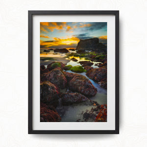 Starfish Sunsets