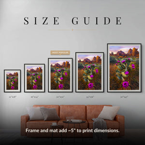 Desert Blumes