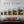 Triumphant Nights - Vertical