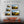 Triumphant Nights