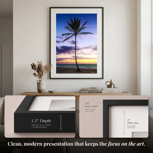 Lone Palm