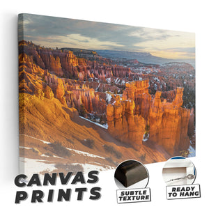 Morning Light At Bryce