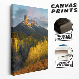 Triumphant Nights - Vertical