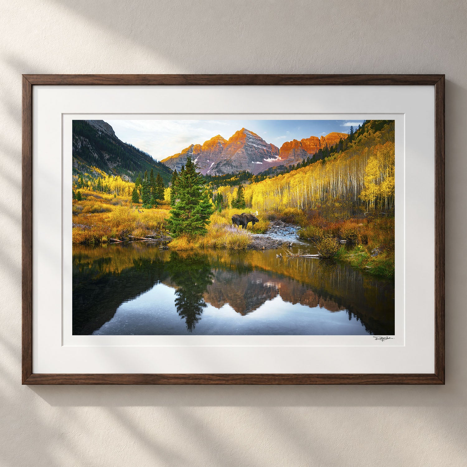 Echoes of Autumn - First Time Collector Canyon Brown Frame