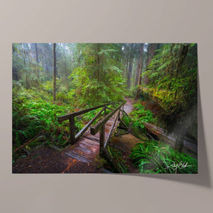 Enchanted Passage Unframed