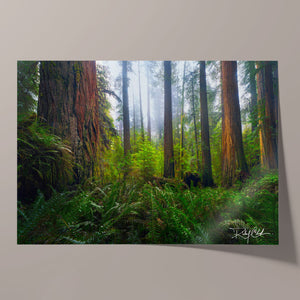 Ancient Giants Unframed