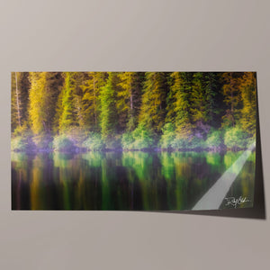 Coastal Pines