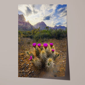 Arid Spring Unframed