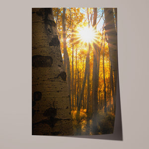 Golden Burst
