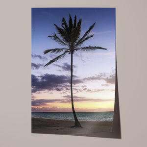 Lone Palm Unframed