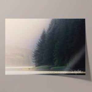 Mist and Shadow Unframed