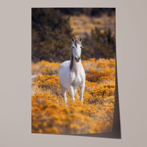 The Meaning of Haste Unframed