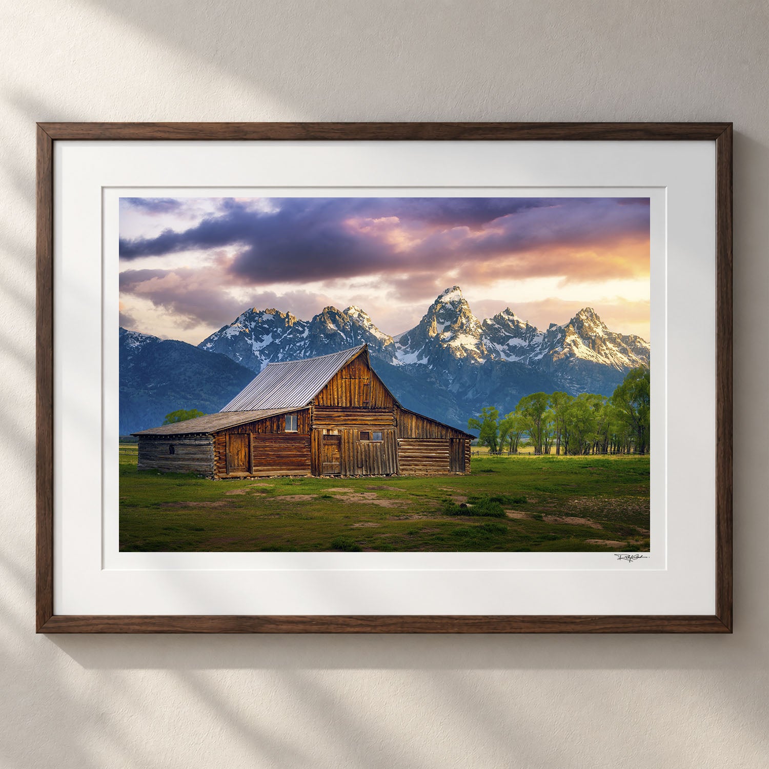 The Old Frontier - First Time Collector Canyon Brown Frame