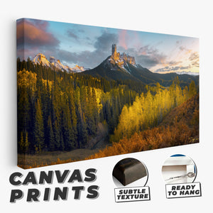 Triumphant Nights - Modern Format