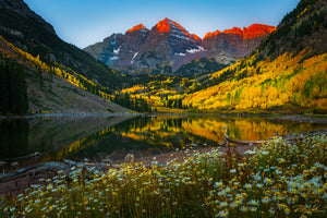 Beneath The Bells - 24x36 Print Rolled Print (Unframed)