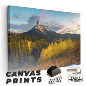 Triumphant Nights - Classic Format